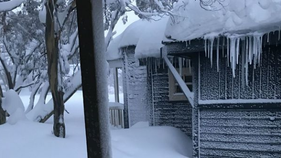 Tuyết tại Mount Hotham vào sáng nay.(Ảnh bởi Mathew Busch)